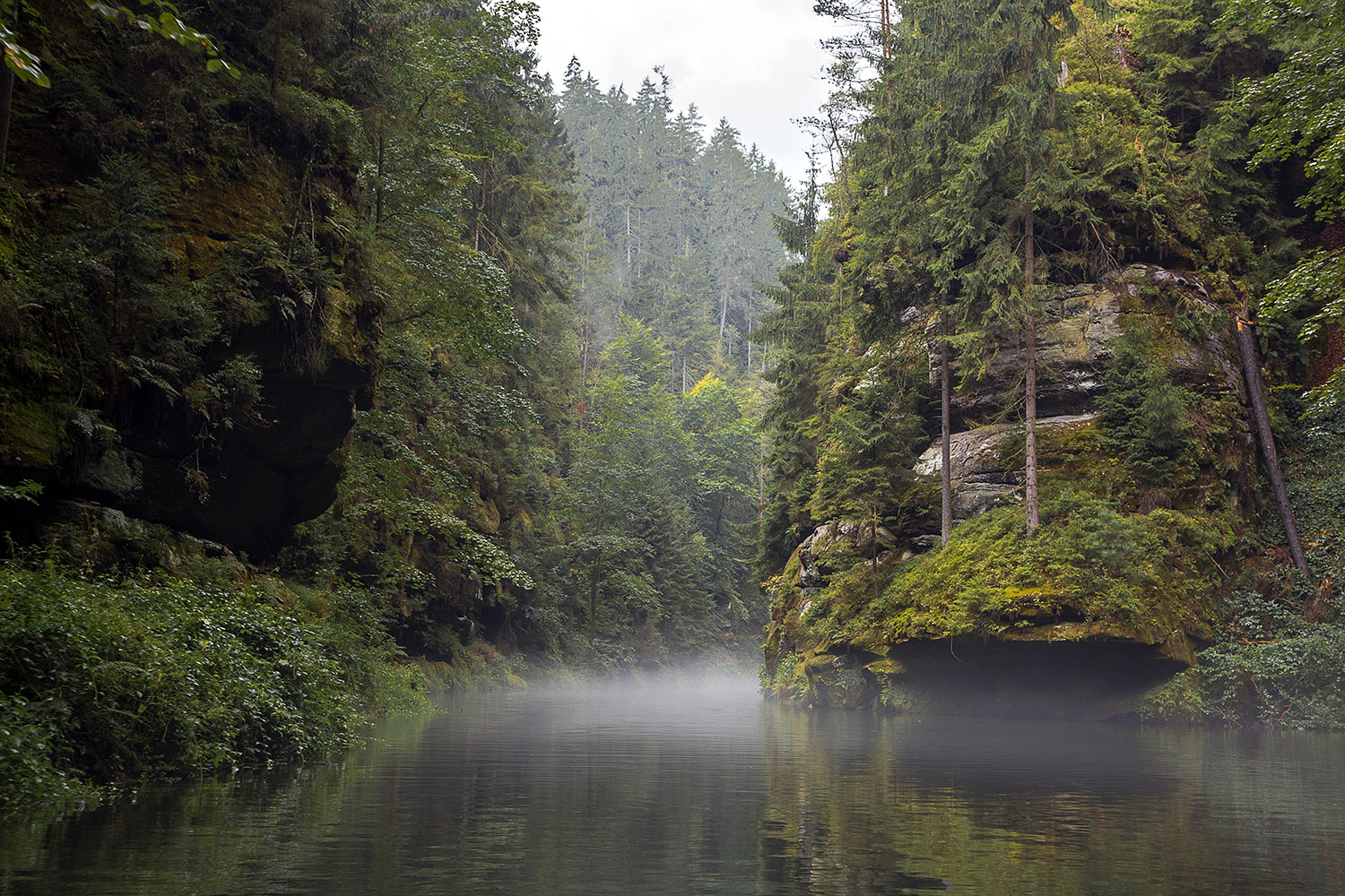 Kamenice river, Hrensko